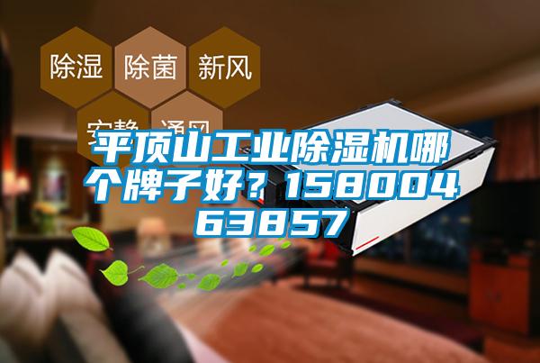 平頂山工業(yè)除濕機哪個牌子好？15800463857
