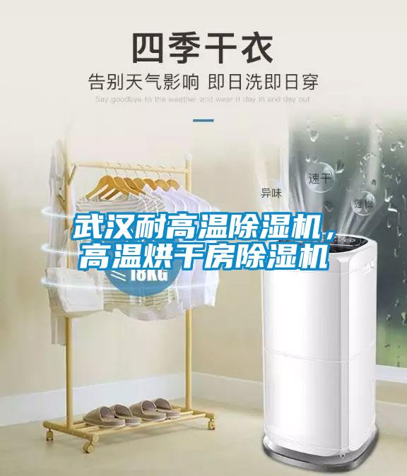 武漢耐高溫除濕機，高溫烘干房除濕機
