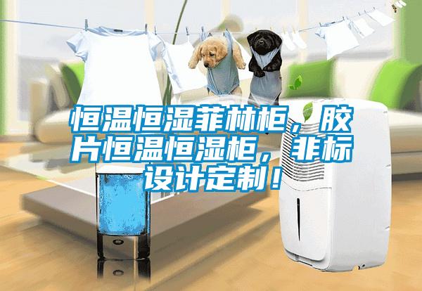 恒溫恒濕菲林柜，膠片恒溫恒濕柜，非標(biāo)設(shè)計(jì)定制！