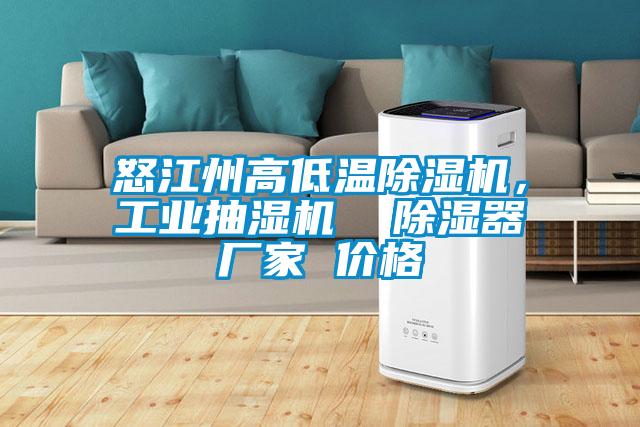 怒江州高低溫除濕機，工業(yè)抽濕機  除濕器廠家 價格