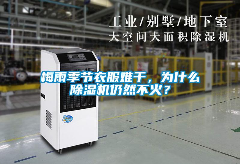 梅雨季節(jié)衣服難干，為什么除濕機(jī)仍然不火？
