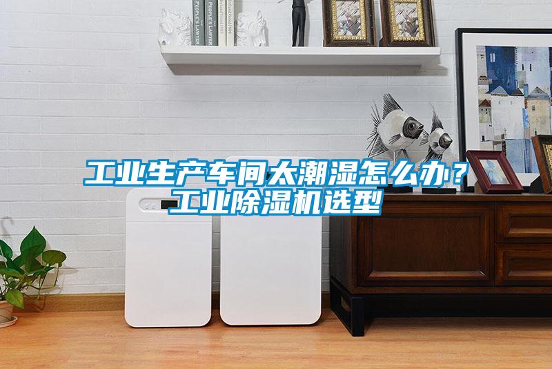 工業(yè)生產(chǎn)車間太潮濕怎么辦？工業(yè)除濕機選型