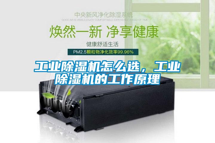 工業(yè)除濕機(jī)怎么選，工業(yè)除濕機(jī)的工作原理