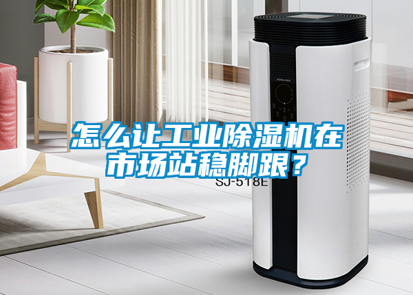 怎么讓工業(yè)除濕機在市場站穩(wěn)腳跟？