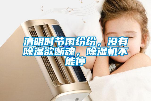 清明時(shí)節(jié)雨紛紛，沒有除濕欲斷魂，除濕機(jī)不能停