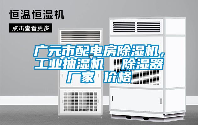 廣元市配電房除濕機(jī)，工業(yè)抽濕機(jī)  除濕器廠家 價格