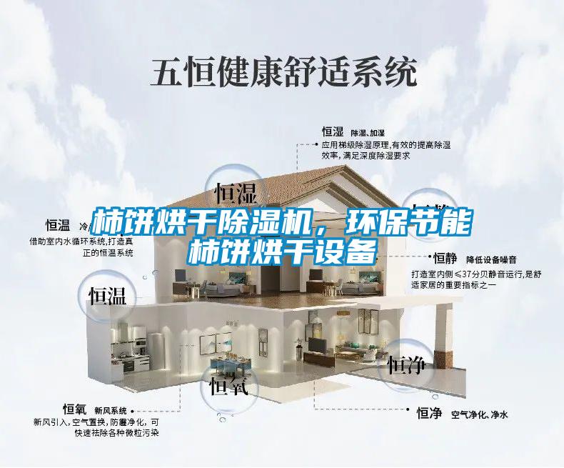 柿餅烘干除濕機(jī)，環(huán)保節(jié)能柿餅烘干設(shè)備
