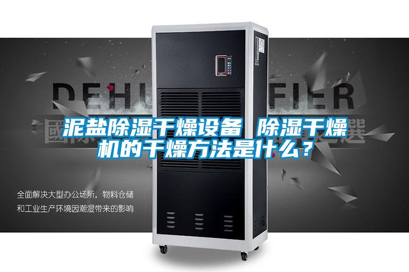 泥鹽除濕干燥設(shè)備 除濕干燥機(jī)的干燥方法是什么？