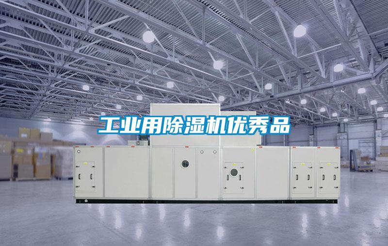 工業(yè)用除濕機優(yōu)秀品