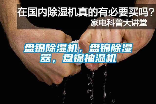 盤(pán)錦除濕機(jī)，盤(pán)錦除濕器，盤(pán)錦抽濕機(jī)