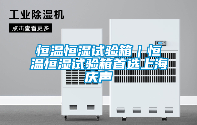 恒溫恒濕試驗(yàn)箱｜恒溫恒濕試驗(yàn)箱首選上海慶聲