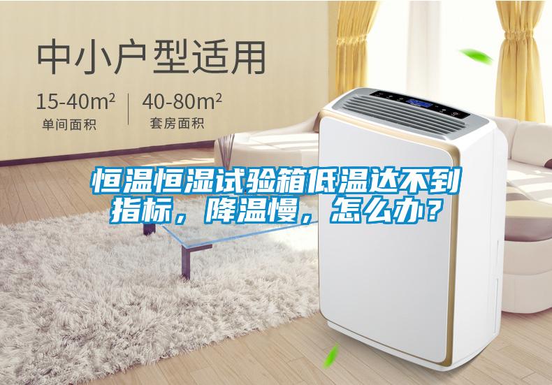 恒溫恒濕試驗箱低溫達不到指標，降溫慢，怎么辦？
