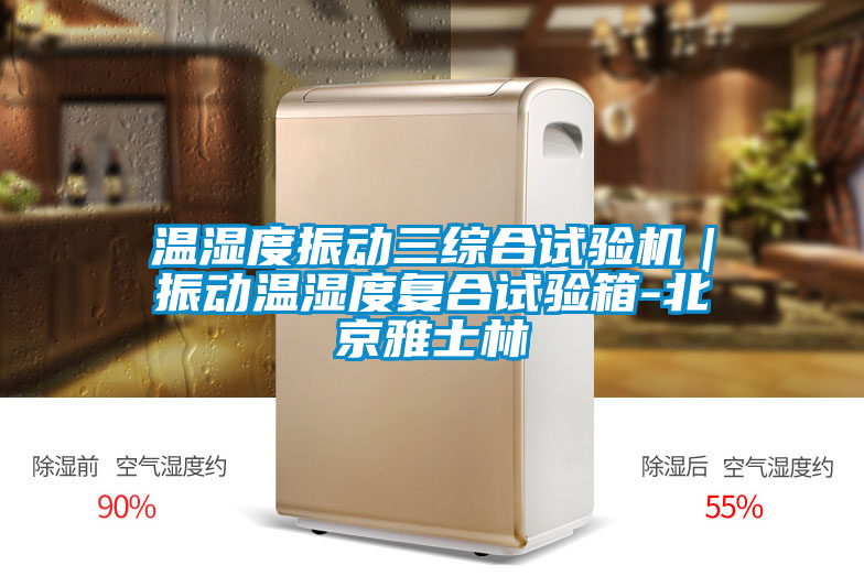 溫濕度振動三綜合試驗(yàn)機(jī)｜振動溫濕度復(fù)合試驗(yàn)箱-北京雅士林