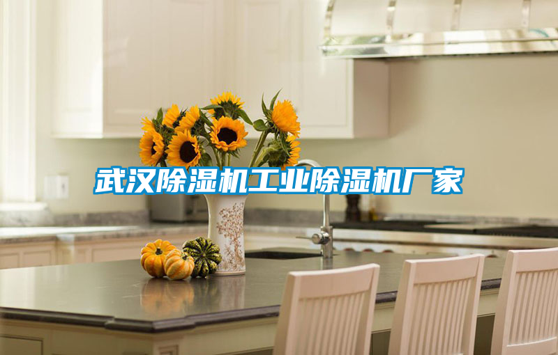 武漢除濕機工業(yè)除濕機廠家