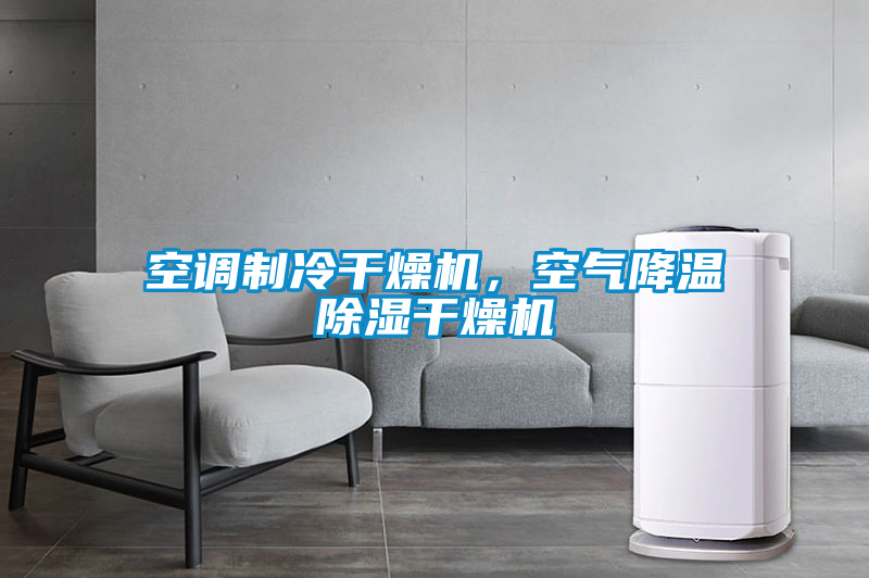 空調(diào)制冷干燥機(jī)，空氣降溫除濕干燥機(jī)