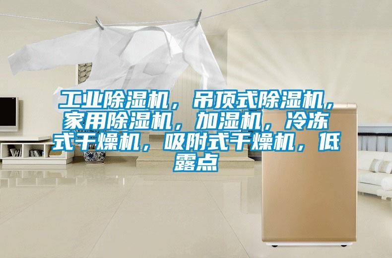 工業(yè)除濕機，吊頂式除濕機，家用除濕機，加濕機，冷凍式干燥機，吸附式干燥機，低露點