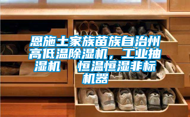 恩施土家族苗族自治州高低溫除濕機(jī)，工業(yè)抽濕機(jī)  恒溫恒濕非標(biāo)機(jī)器