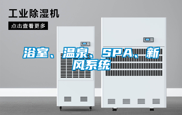 浴室、溫泉、SPA、新風系統(tǒng)