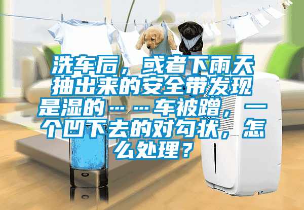 洗車后，或者下雨天抽出來(lái)的安全帶發(fā)現(xiàn)是濕的……車被蹭，一個(gè)凹下去的對(duì)勾狀，怎么處理？