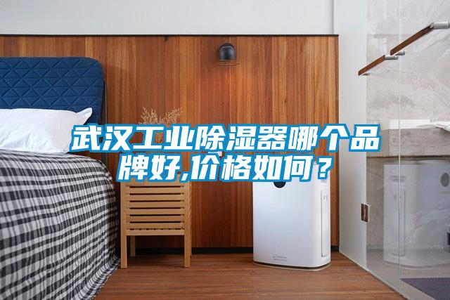 武漢工業(yè)除濕器哪個(gè)品牌好,價(jià)格如何？