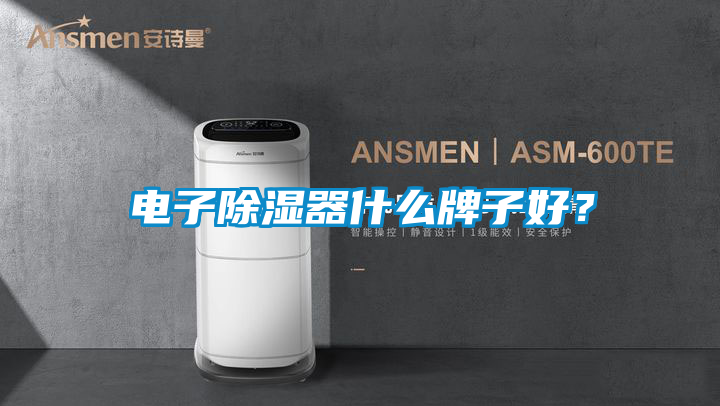 電子除濕器什么牌子好？