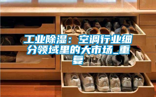 工業(yè)除濕：空調(diào)行業(yè)細(xì)分領(lǐng)域里的大市場_重復(fù)