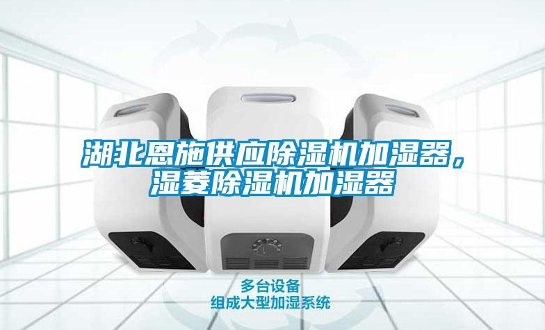 湖北恩施供應(yīng)除濕機(jī)加濕器，濕菱除濕機(jī)加濕器