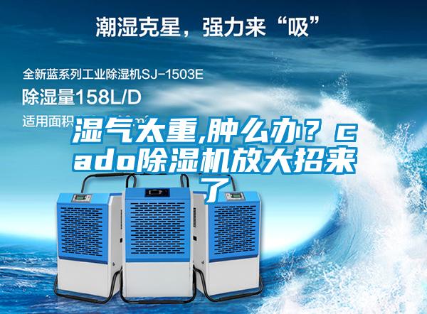 濕氣太重,腫么辦？cado除濕機放大招來了