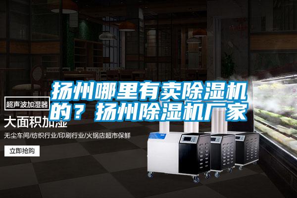 揚州哪里有賣除濕機的？揚州除濕機廠家