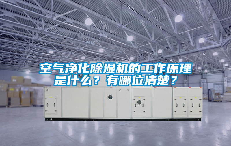 空氣凈化除濕機的工作原理是什么？有哪位清楚？