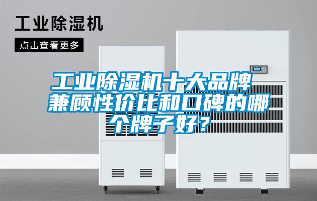 工業(yè)除濕機(jī)十大品牌 兼顧性價(jià)比和口碑的哪個(gè)牌子好？