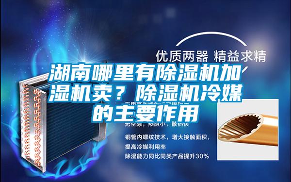 湖南哪里有除濕機加濕機賣？除濕機冷媒的主要作用