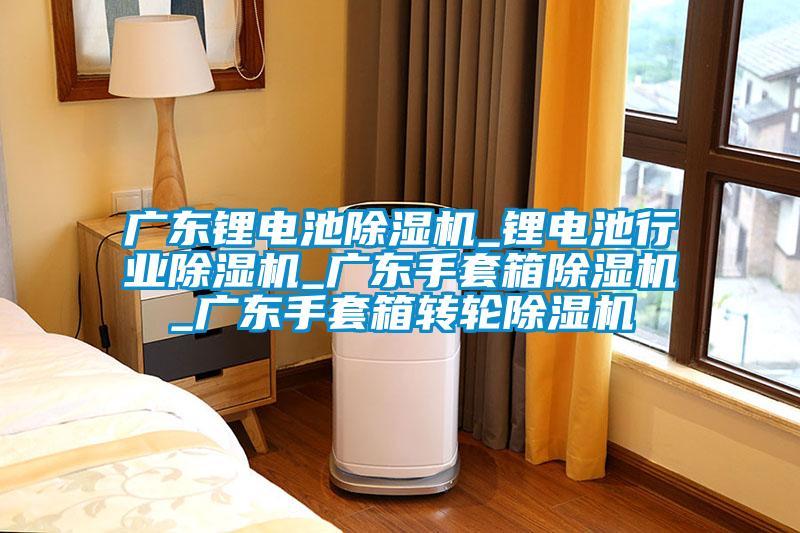 廣東鋰電池除濕機_鋰電池行業(yè)除濕機_廣東手套箱除濕機_廣東手套箱轉輪除濕機