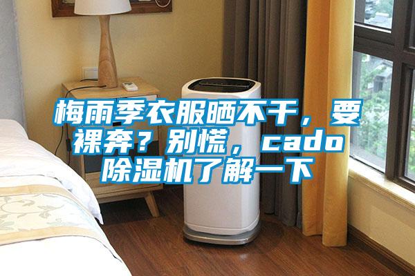 梅雨季衣服曬不干，要裸奔？別慌，cado除濕機(jī)了解一下