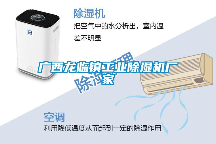廣西龍臨鎮(zhèn)工業(yè)除濕機廠家