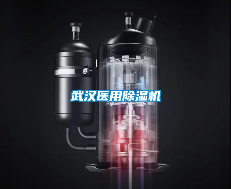 武漢醫(yī)用除濕機
