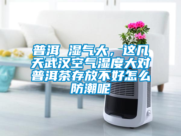 普洱 濕氣大，這幾天武漢空氣濕度大對(duì)普洱茶存放不好怎么防潮呢