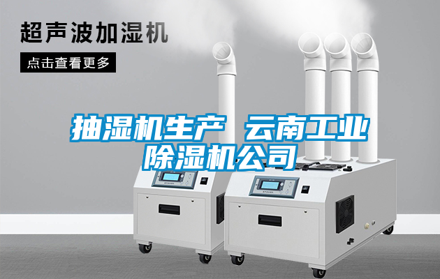 抽濕機生產(chǎn) 云南工業(yè)除濕機公司