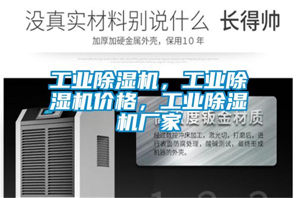 工業(yè)除濕機(jī)，工業(yè)除濕機(jī)價格，工業(yè)除濕機(jī)廠家
