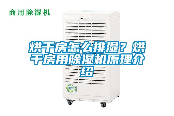 烘干房怎么排濕？烘干房用除濕機(jī)原理介紹