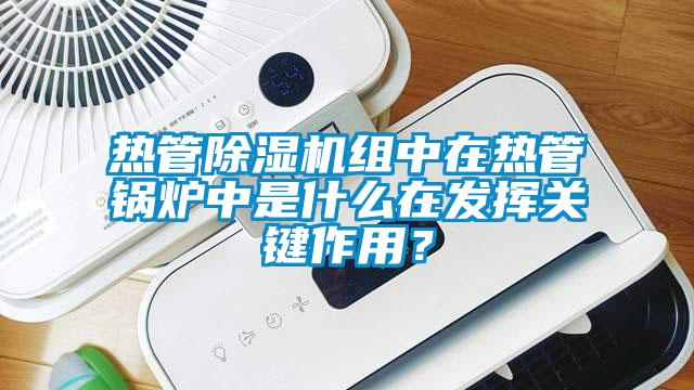 熱管除濕機(jī)組中在熱管鍋爐中是什么在發(fā)揮關(guān)鍵作用？