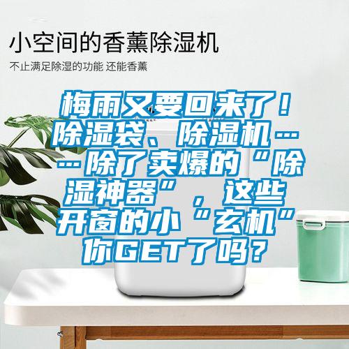 梅雨又要回來了！除濕袋、除濕機……除了賣爆的“除濕神器”，這些開窗的小“玄機”你GET了嗎？