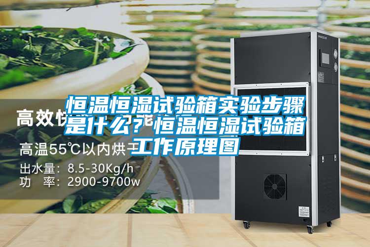 恒溫恒濕試驗箱實驗步驟是什么？恒溫恒濕試驗箱工作原理圖