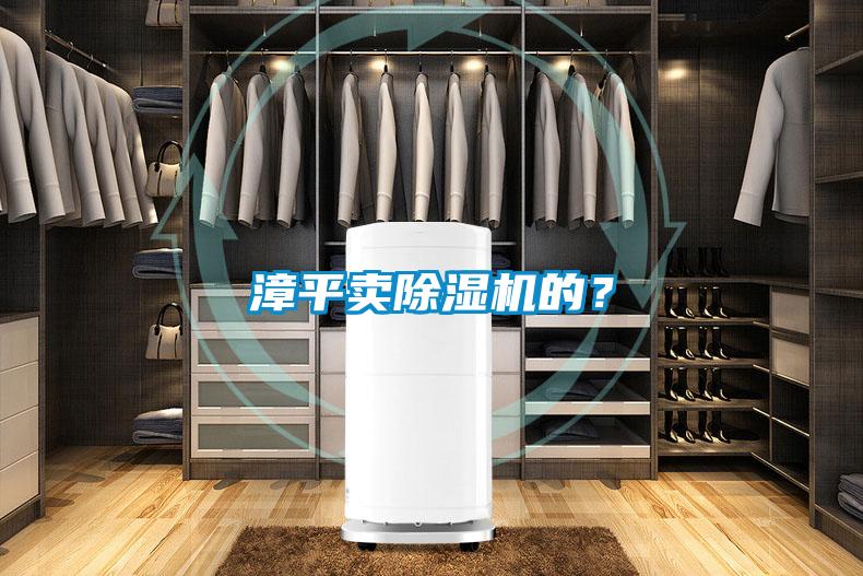 漳平賣(mài)除濕機(jī)的？