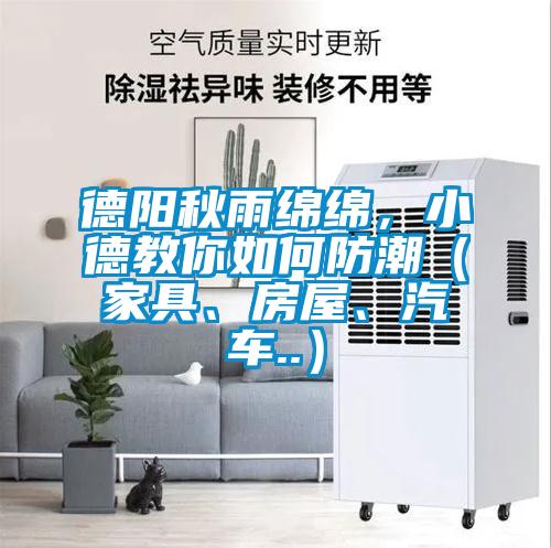 德陽秋雨綿綿，小德教你如何防潮（家具、房屋、汽車..）