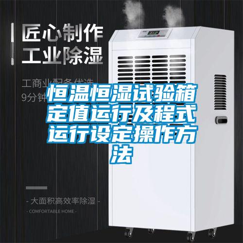 恒溫恒濕試驗箱定值運行及程式運行設(shè)定操作方法