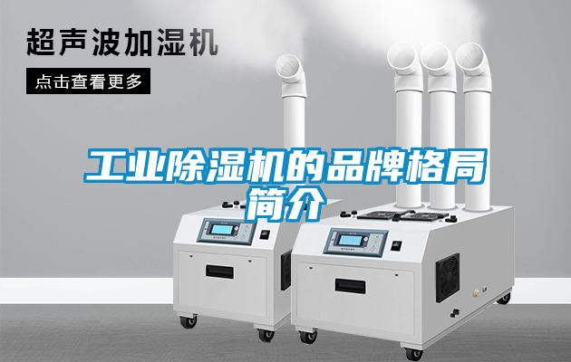 工業(yè)除濕機(jī)的品牌格局簡(jiǎn)介