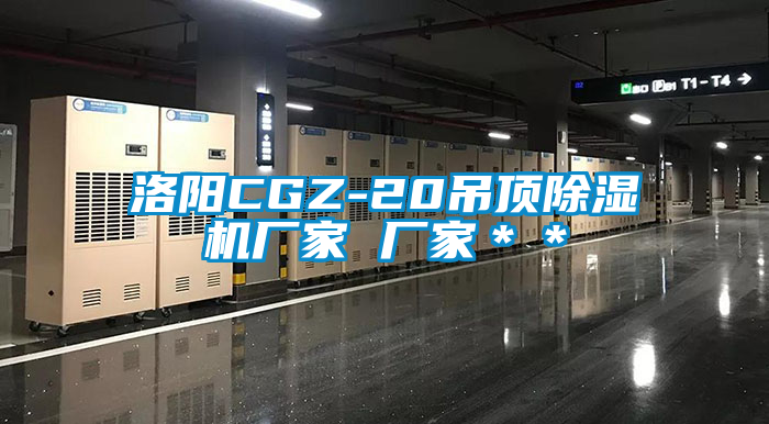 洛陽(yáng)CGZ-20吊頂除濕機(jī)廠家 廠家＊＊