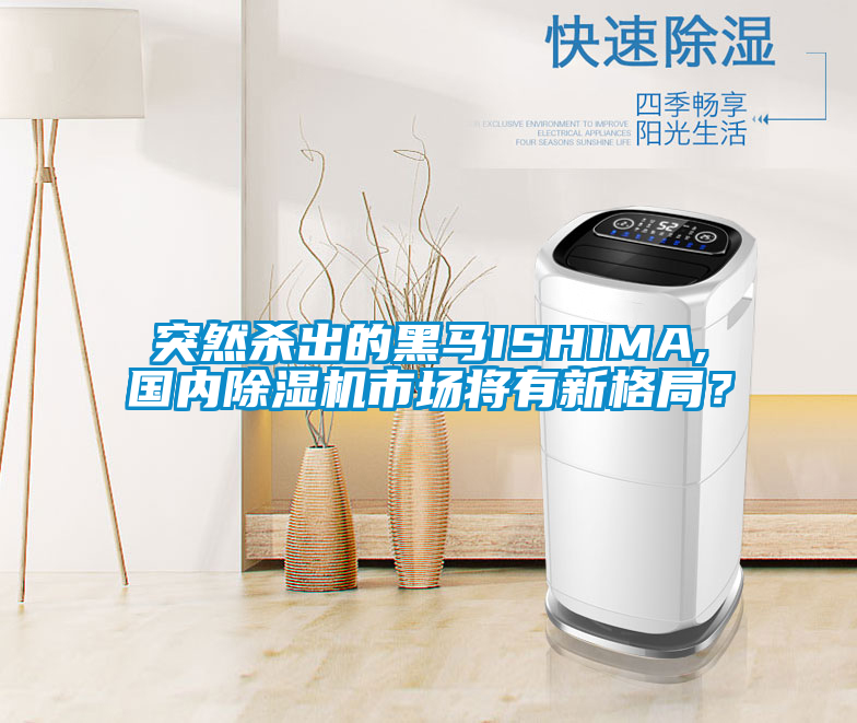 突然殺出的黑馬ISHIMA,國內(nèi)除濕機市場將有新格局？