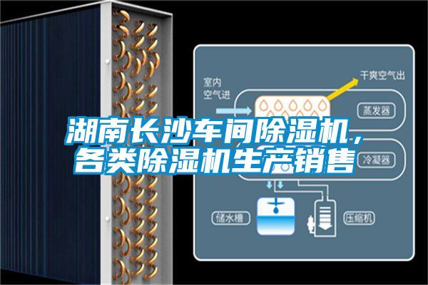湖南長沙車間除濕機，各類除濕機生產(chǎn)銷售